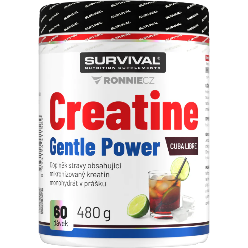 Creatine Monohydrate Gentle Power - 480 g, limeta-jahoda